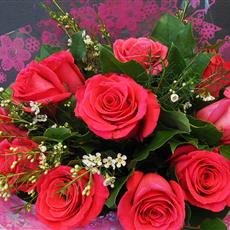 12 hot pink rose bouquet