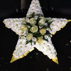 Star 