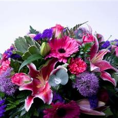 Purple &amp; Cerise Spray