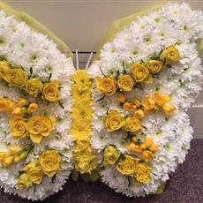 Yellow Butterfly