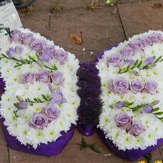 Lilac and White Butterfly