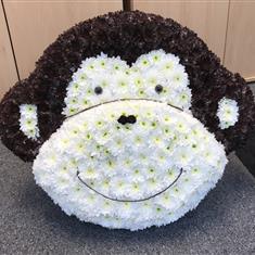 Monkey face 