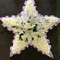 5 point Star tribute 