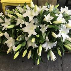All white lily coffin spray 