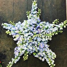Delphinium star