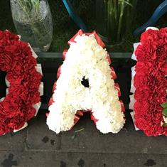 Red and white carnation DAD tribute 