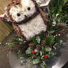 Owl tribute 