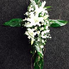 Aspidistra leaf cross 