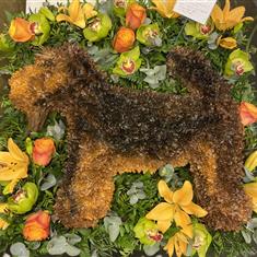 Welsh terrier dog tribute 