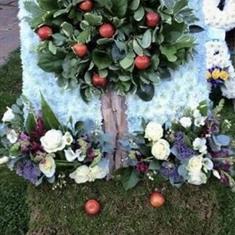 Apple tree 