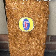 Pint fosters 