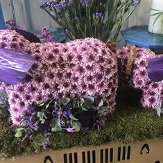 Mumma &amp; baby elephants tribute 