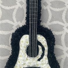 Black n white guitar 