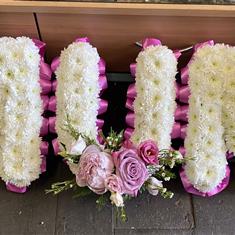 Hot pink and white mum 