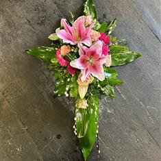 Aspidistra cross  